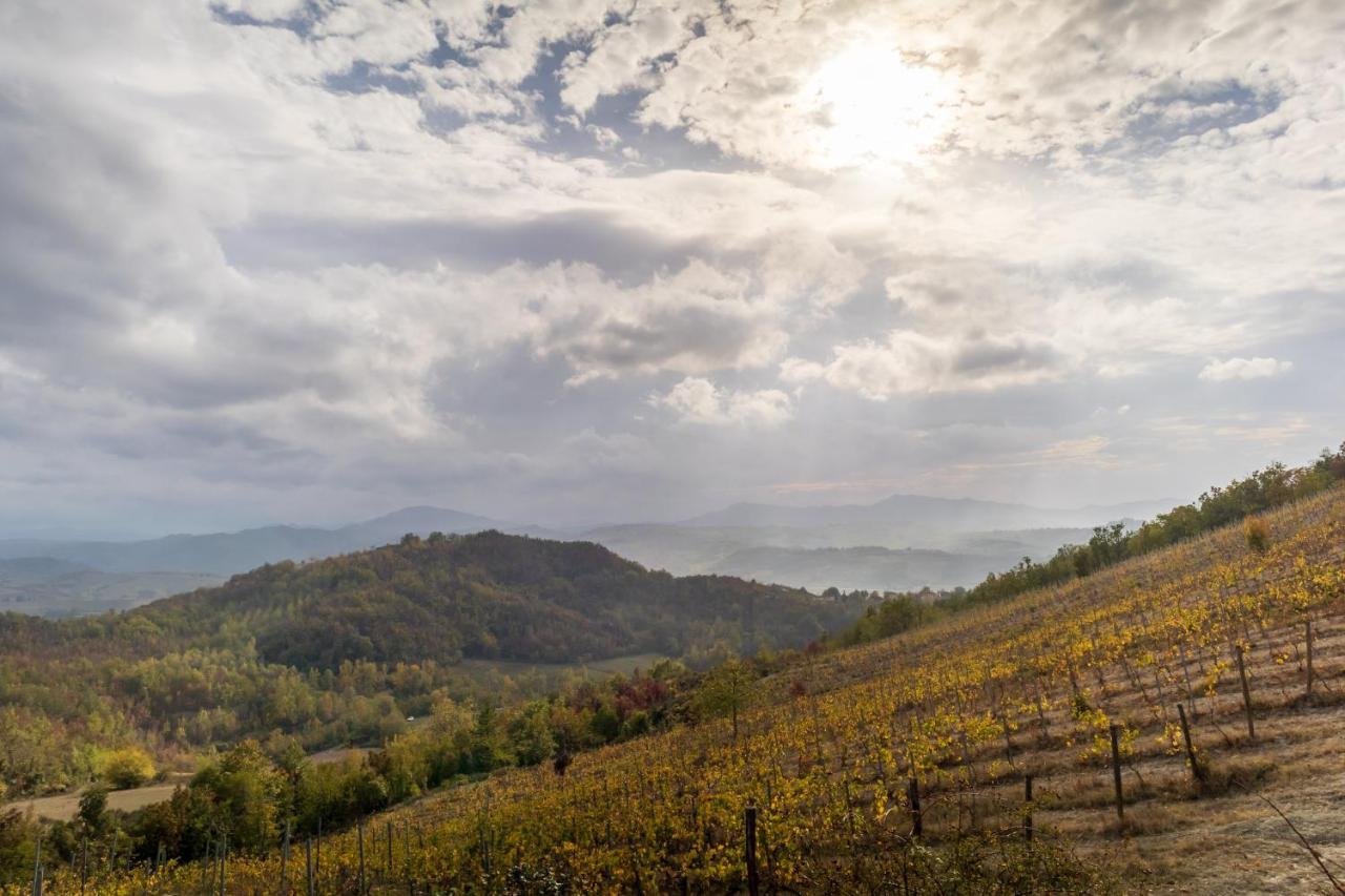 Вилла Oasi Di Mastarone - Il Vino E Le Rose Momperone Экстерьер фото