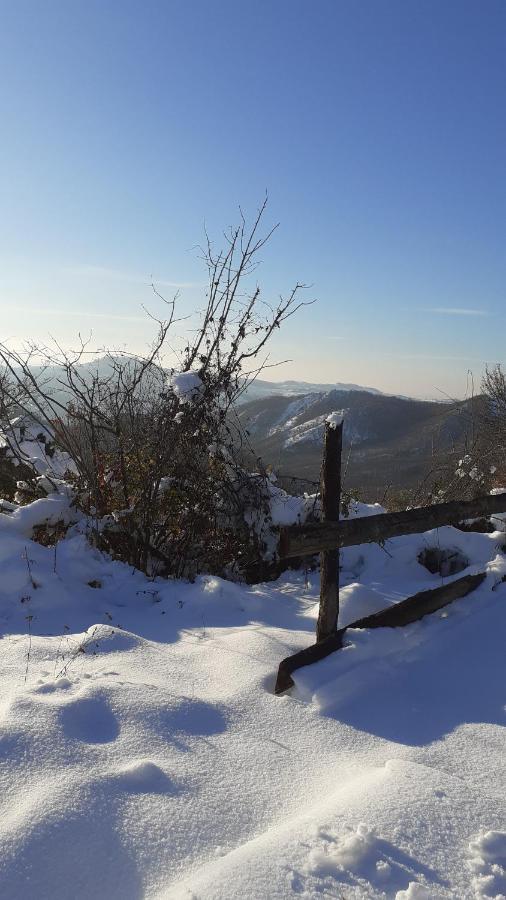 Вилла Oasi Di Mastarone - Il Vino E Le Rose Momperone Экстерьер фото
